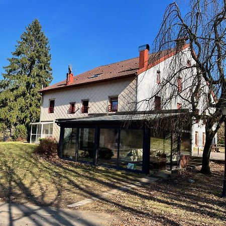 Ferme Des Jonquilles 15P - Billard, Ps4, Salle De Sport Villa Gérardmer Kültér fotó