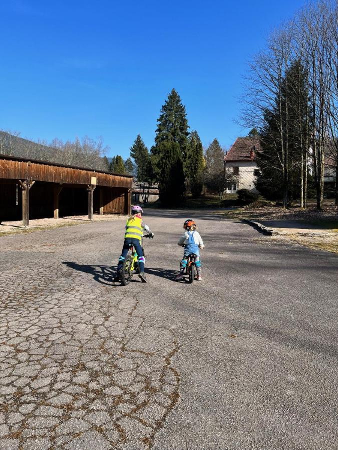 Ferme Des Jonquilles 15P - Billard, Ps4, Salle De Sport Gérardmer Kültér fotó